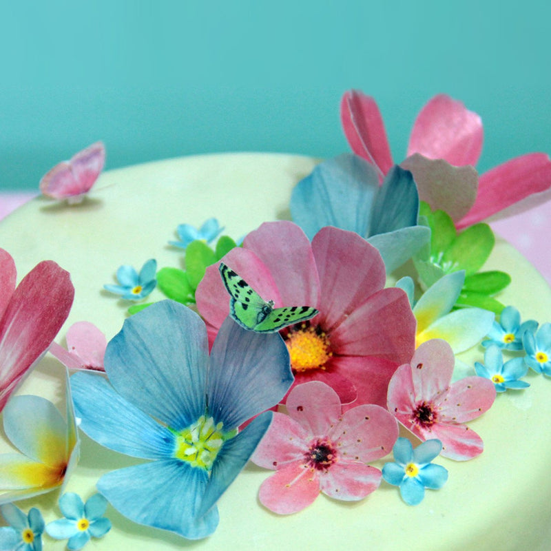 Sweet Whimsy Large Edible Flowers
