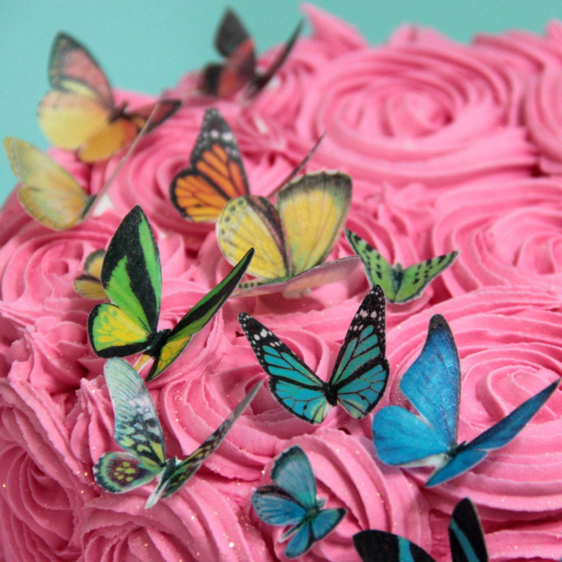 Sweet Whimsy Rainbow Butterfly Edible Images