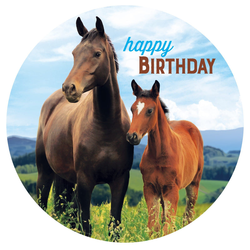 Horse & Pony Edible Cake Image | Horse Party Theme & Supplies