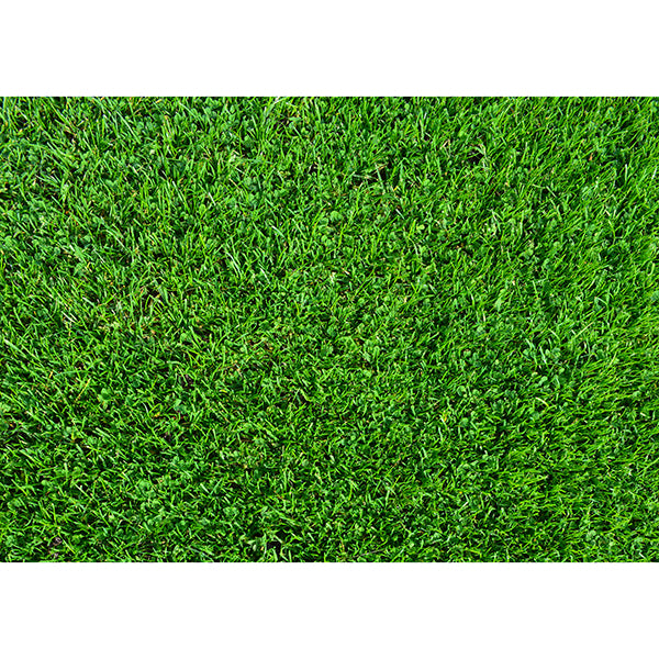 Rectangle Grass Edible Cake Image | Sports Cake Decorations
